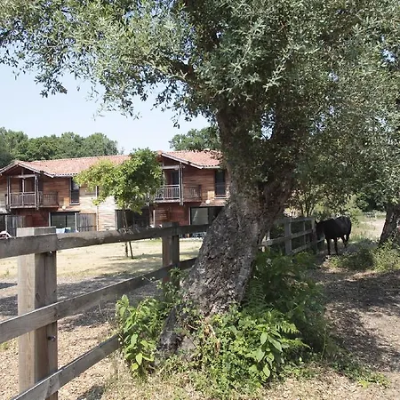Appart hôtel Résidence Odalys Domaine De La Prade Messanges (Landes)